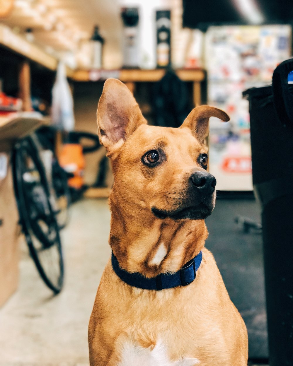Jack / Head of Security