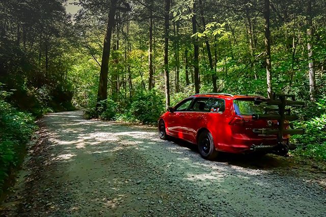 This cold weather has me dreaming of days getting lost deep in the woods of Pisgah.